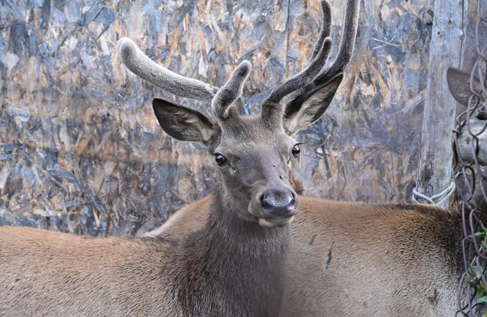 Ұлттық паркті қорғау – елдік мәселе