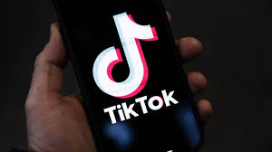 «Тик-Ток» арқылы жұртты алдап келген қылмыстық топтың жолы кесілді