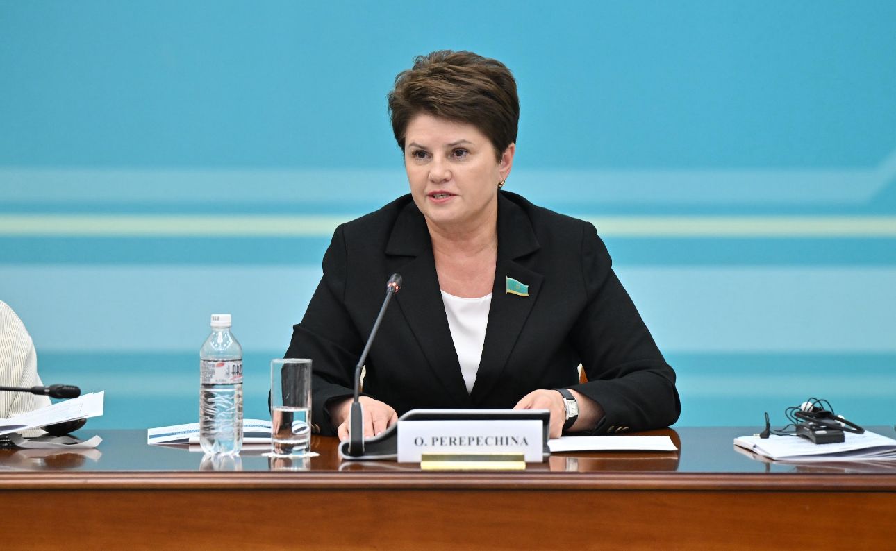 Ольга Перепечина: Осал топтың мүддесін ескермей ОДМ-ға қол жеткізу мүмкін емес