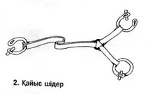 д