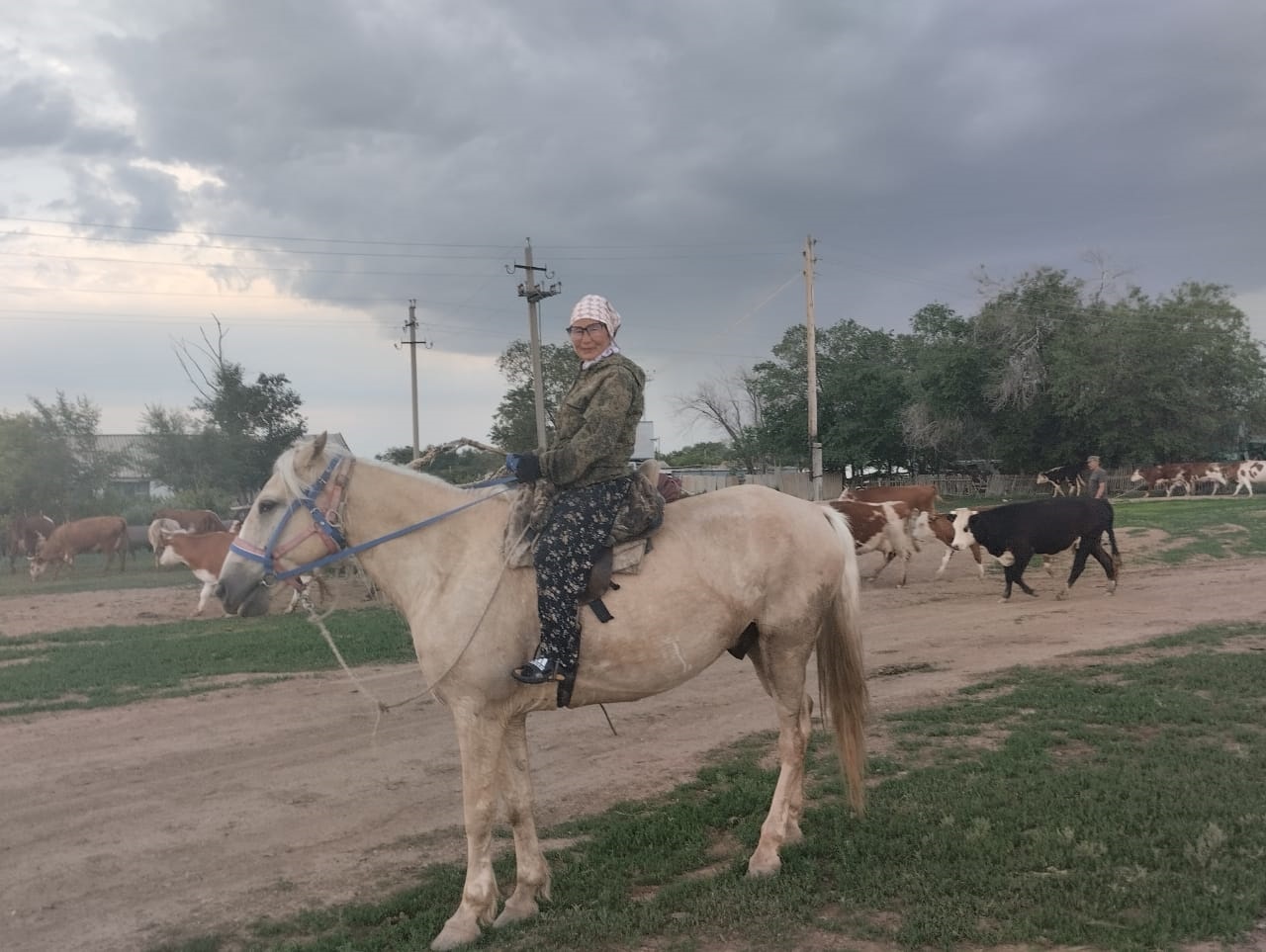 Әйел атқа қонса...