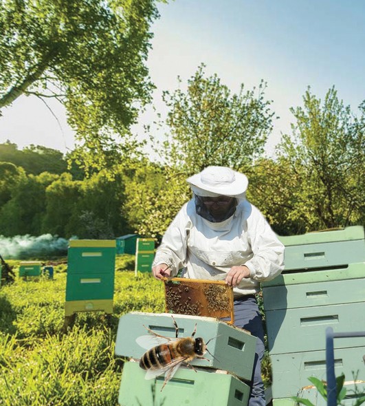 Салаға салғырт қарамасақ игі