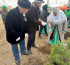 Ақмолалықтар «Таза Қазақстан» акциясы аясында 100 мың шаршы метрден астам аумақты тазартты