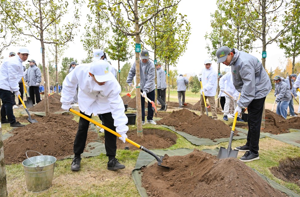 Қоршаған орта мен жұртшылық мәдениетінің үйлесімі