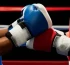 Бүгін бокстан Қазақстан чемпиондары анықталады