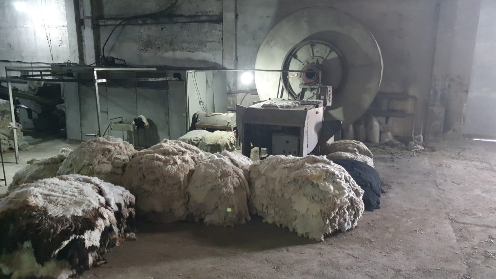 Тері илегендер зар илемесін!