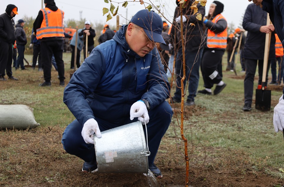 Көшет – көшенің сәні