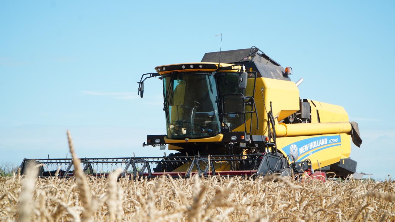 Егінжайдағы ерлік