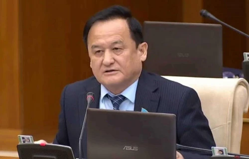 Әдебиет институтын ашу ұсынылды