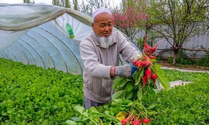 Әмбебап шаруа