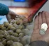 Картоп тапшылығы: Баға тағы да қыспаққа ала ма?