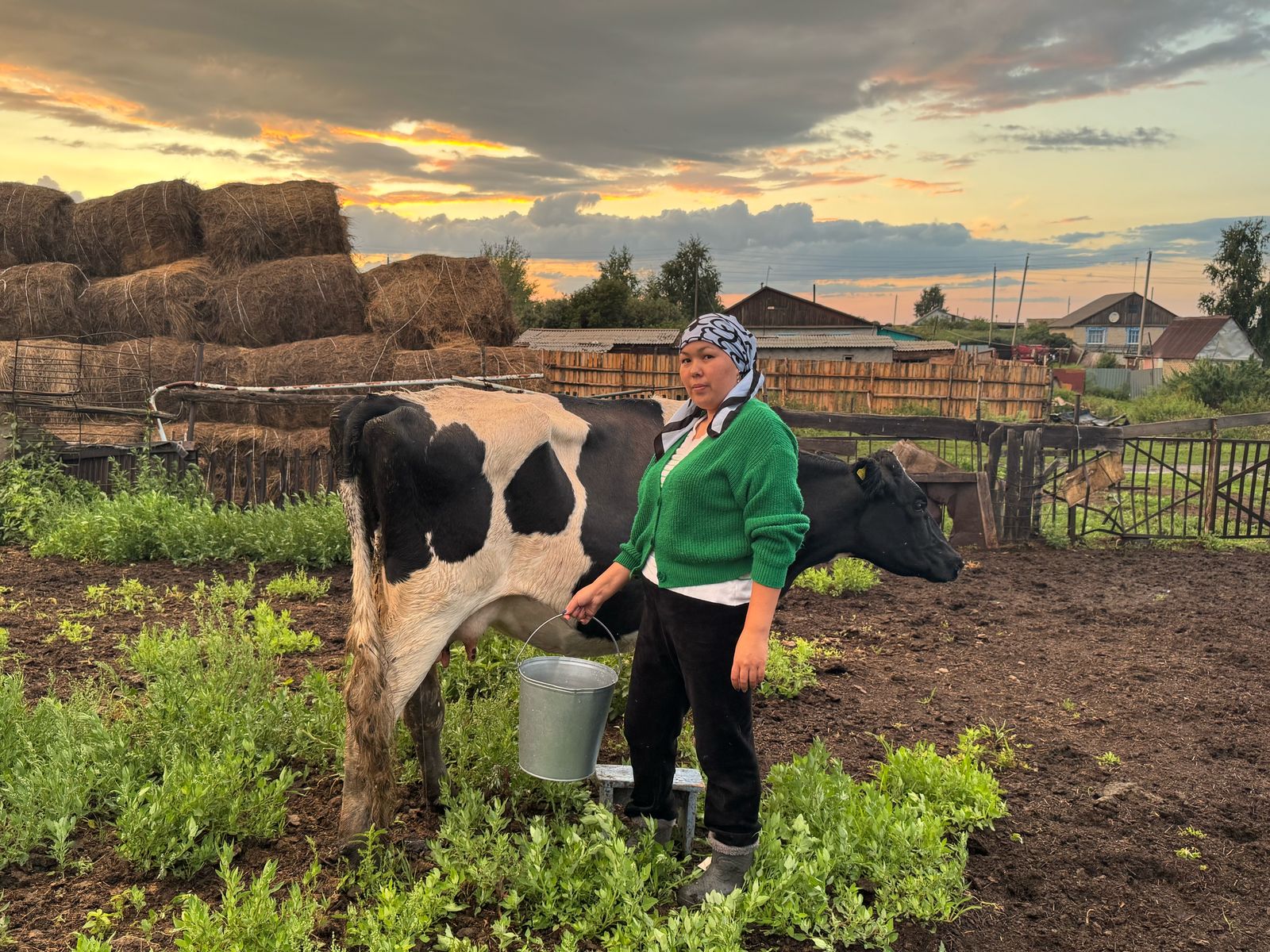 Мал ұстағанның табысы неге мардымсыз?