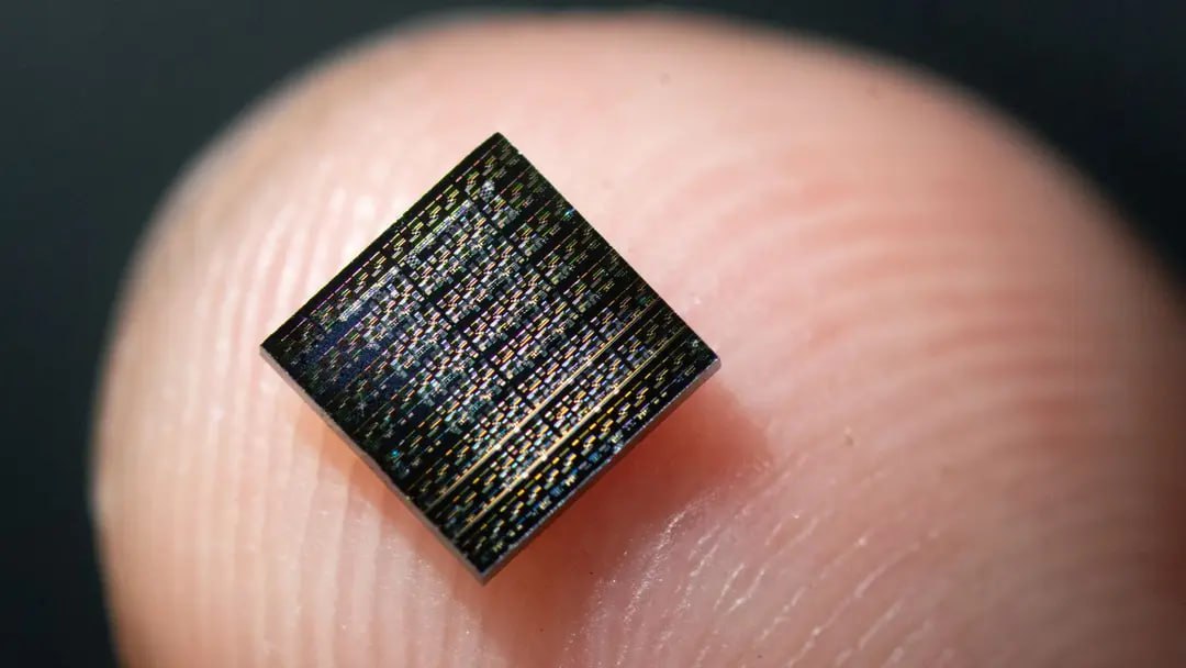 Ми секілді жұмыс істейді