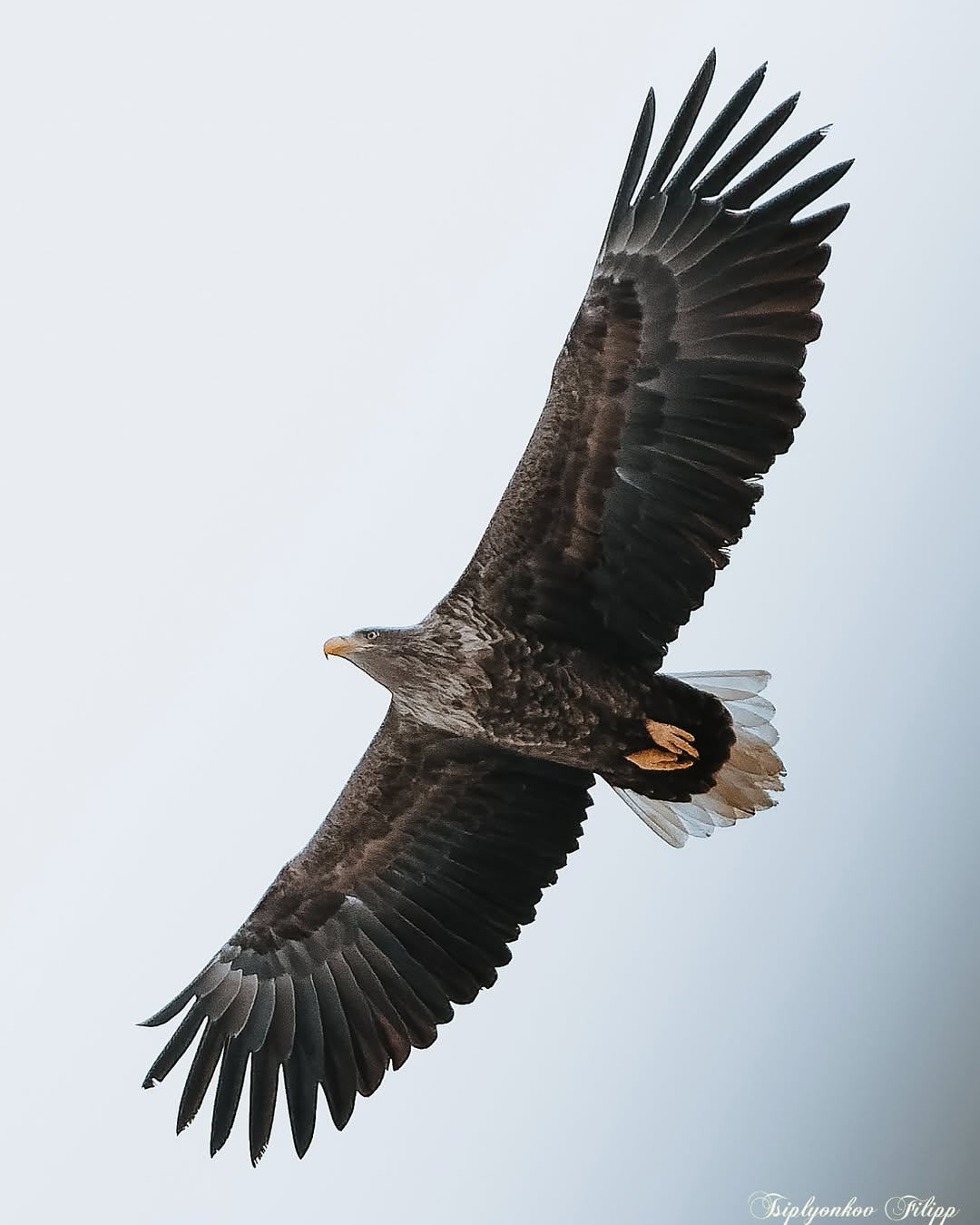 Атырау облысы