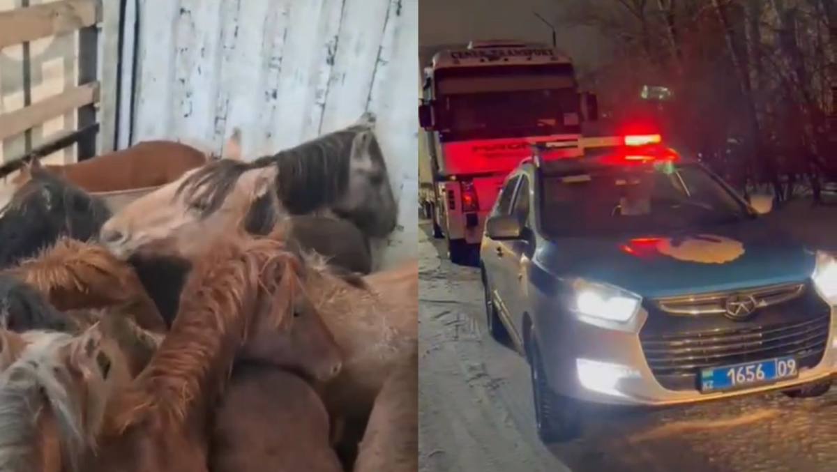 Жылқы ұрлағандар Қарағандыда ұсталды