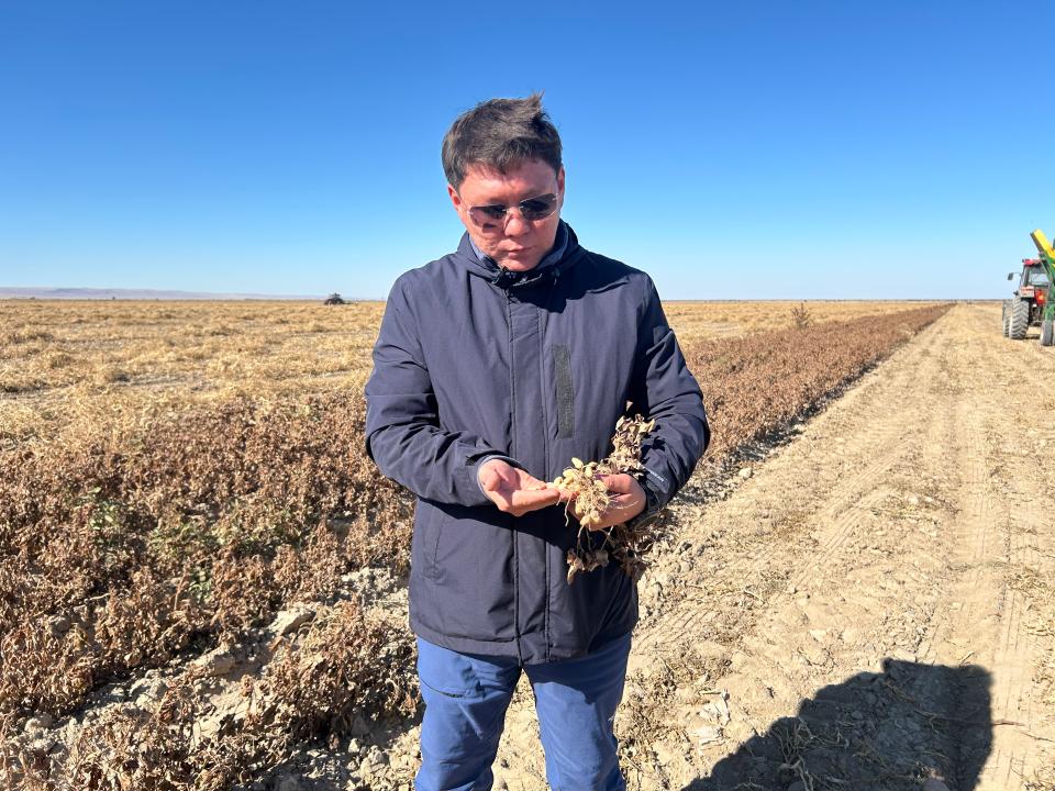 Жетісудың жержаңғағы