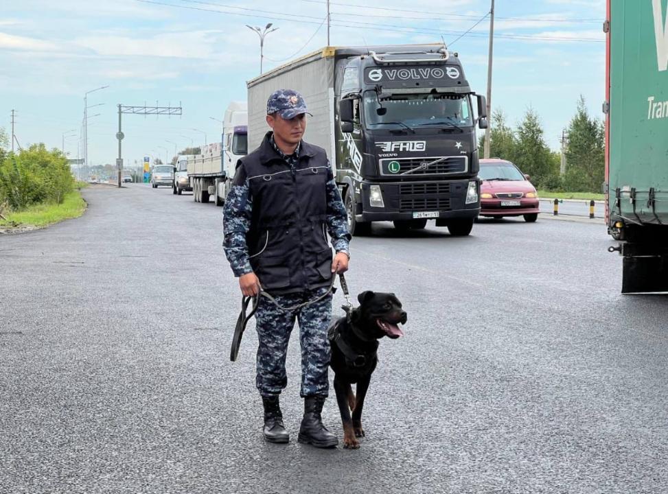 Астанада қызметтік ит автокөліктен есірткі тауып алды