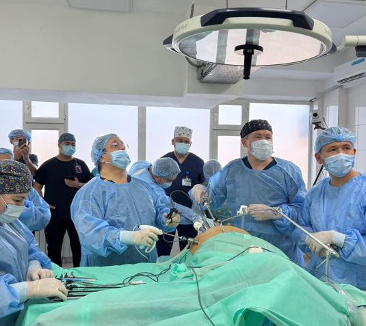 Алматы облысында алғаш рет асқазанға тың әдіспен ота жасалды