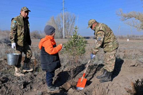 «Бір жылда 2 млн-нан астам көшет отырғызылды»: Экологтар Абай облысындағы ахуалды түсіндірді