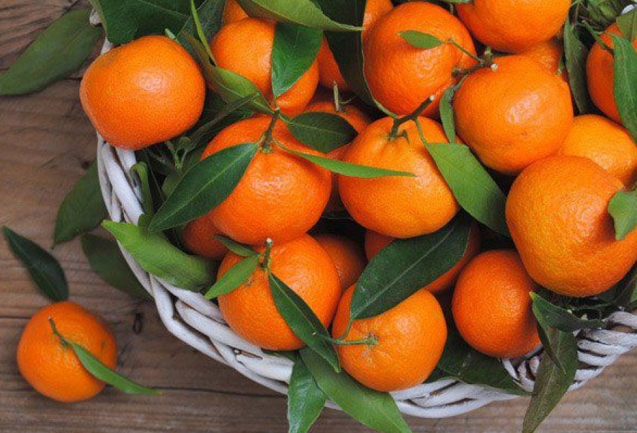 Балаларға екі данадан артық бермеңіз: мандаринді көп тұтыну қауіпті