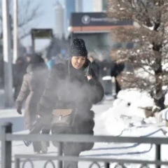 Желтоқсанның ортасында қазақстандықтарға бір күндік демалыс беріледі