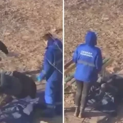 «Дәрігерлер науқасты соққыға жыққан»: Министрлік мәлімдеме жасады