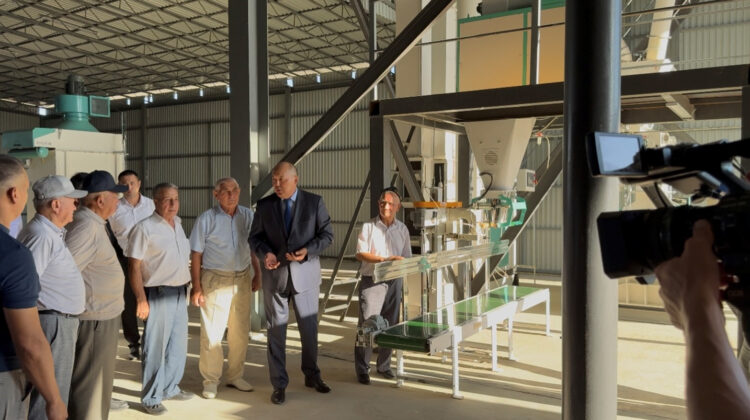 Жетістігі мол Жаркент