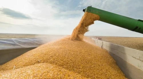 Қазақстаннан Түрікменстанға жеткізілетін бидай көлемі артады