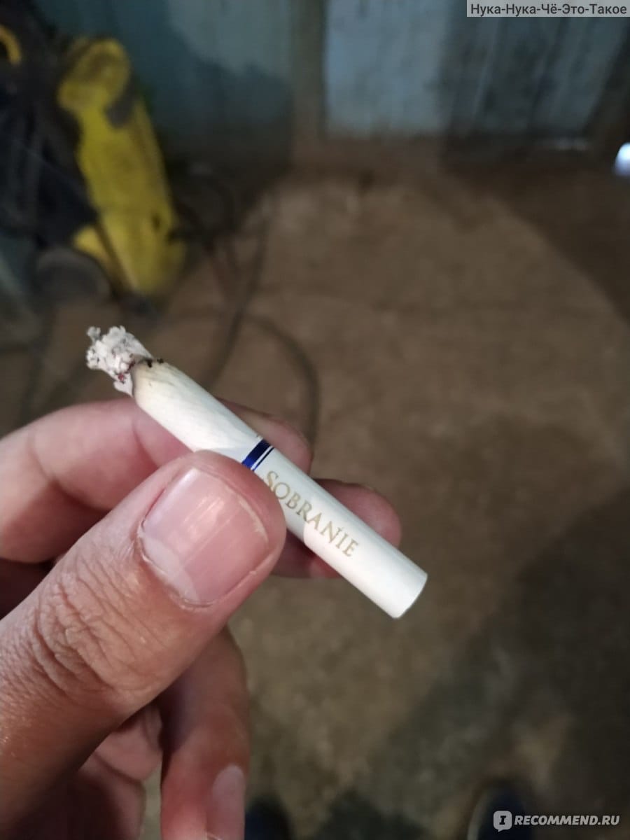 Темекі қалдығы үшін қоғамдық жұмысқа тартылды