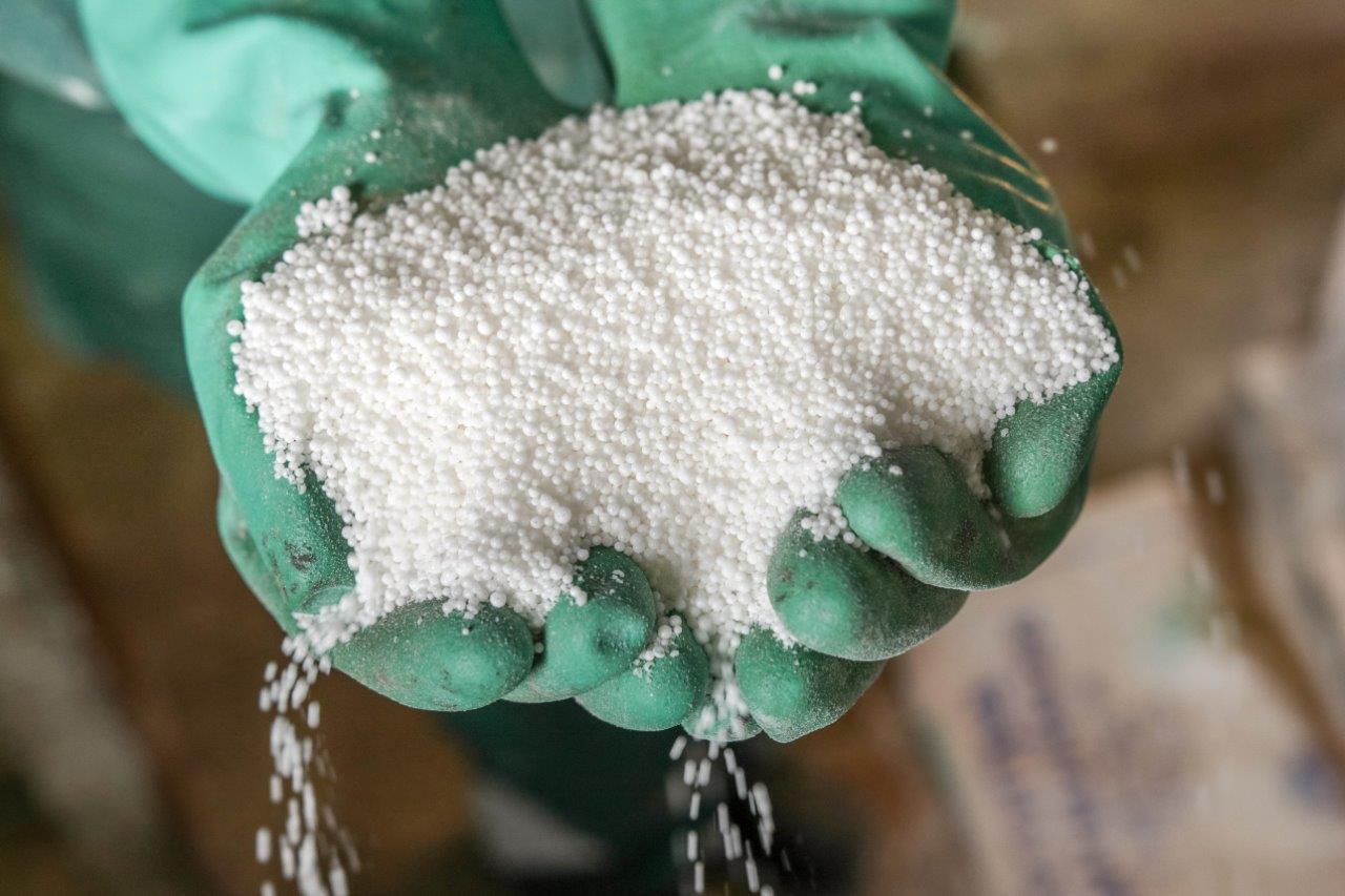 Дақылға қажет қорек – карбамид