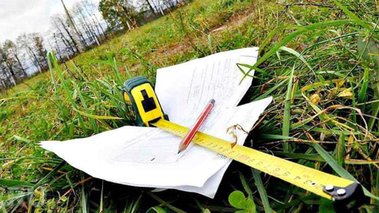 Балқаш көлі маңындағы жер телімі мемлекетке қайтарылды