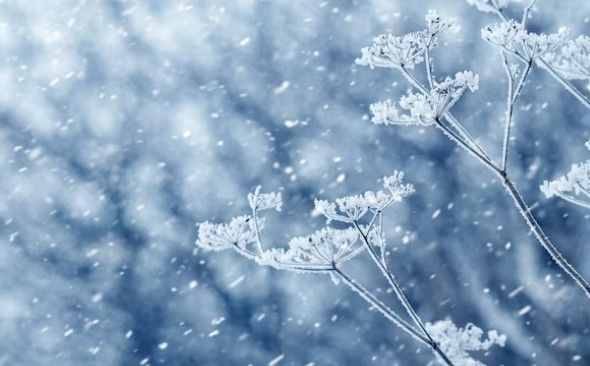 Бүгін елімізде 33 градусқа дейін аяз болады