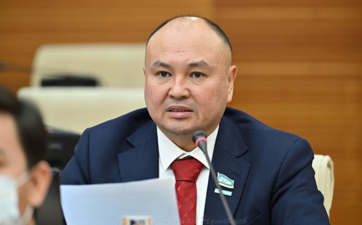 Мәжіліс депутаты «Руың кім» фильмін сынға алды