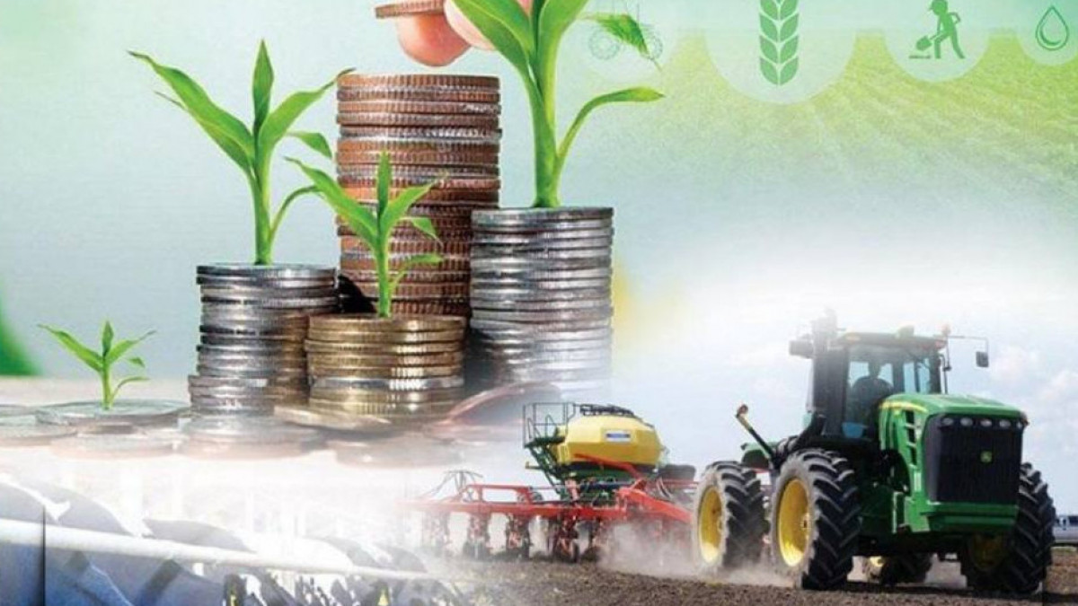 Маңғыстауда ауыл шаруашылығы өнімдерінен 38 миллиард теңге табыс түскен