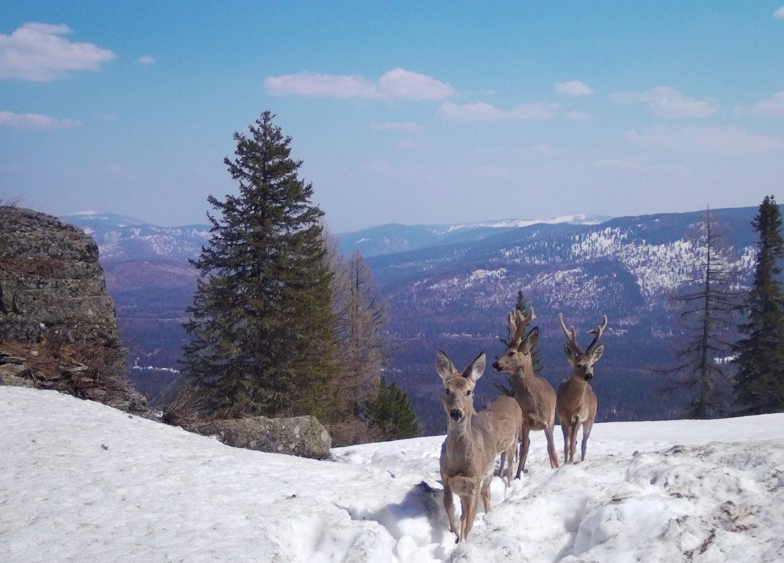 Қысқы туризмнің қалаулы бағыттары