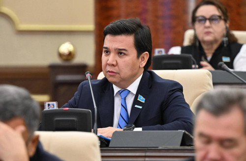 Тұрақтандыру қорлары неге бағаны ұстай алмады?