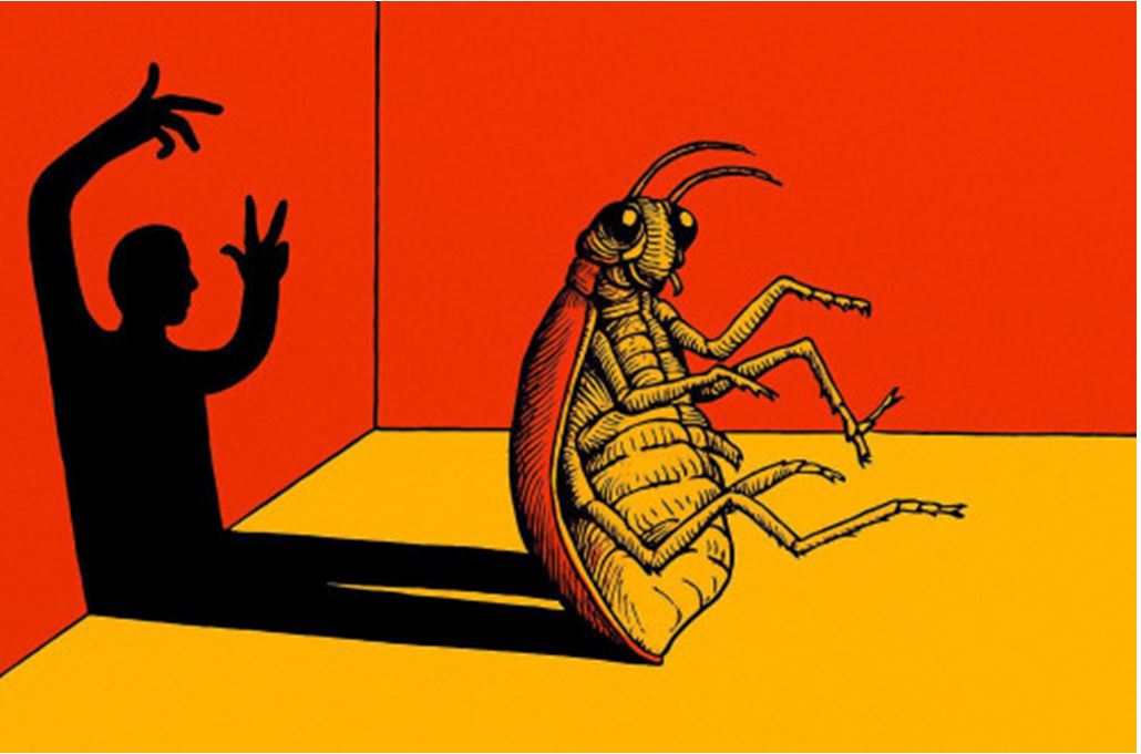 Әлеуметтік масылдықтың мәні неде?