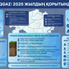 Ел игілігі үшін: 2025 жылы газ саласы қандай жетістіктерге қол жеткізді?
