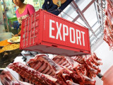 Қазақстан сиыр етін сыртқа шығаруды қатаң квотамен шектейді
