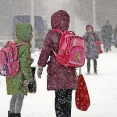 Астанада екінші ауысымдағы бастауыш сынып оқушылары онлайн оқиды