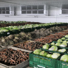 Логистикалық орталық көкөніске толады