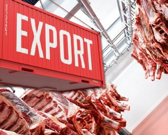 Ет экспорты екі есе өседі: Үкімет мал шаруашылығына арналған ірі жоспарды бекітті