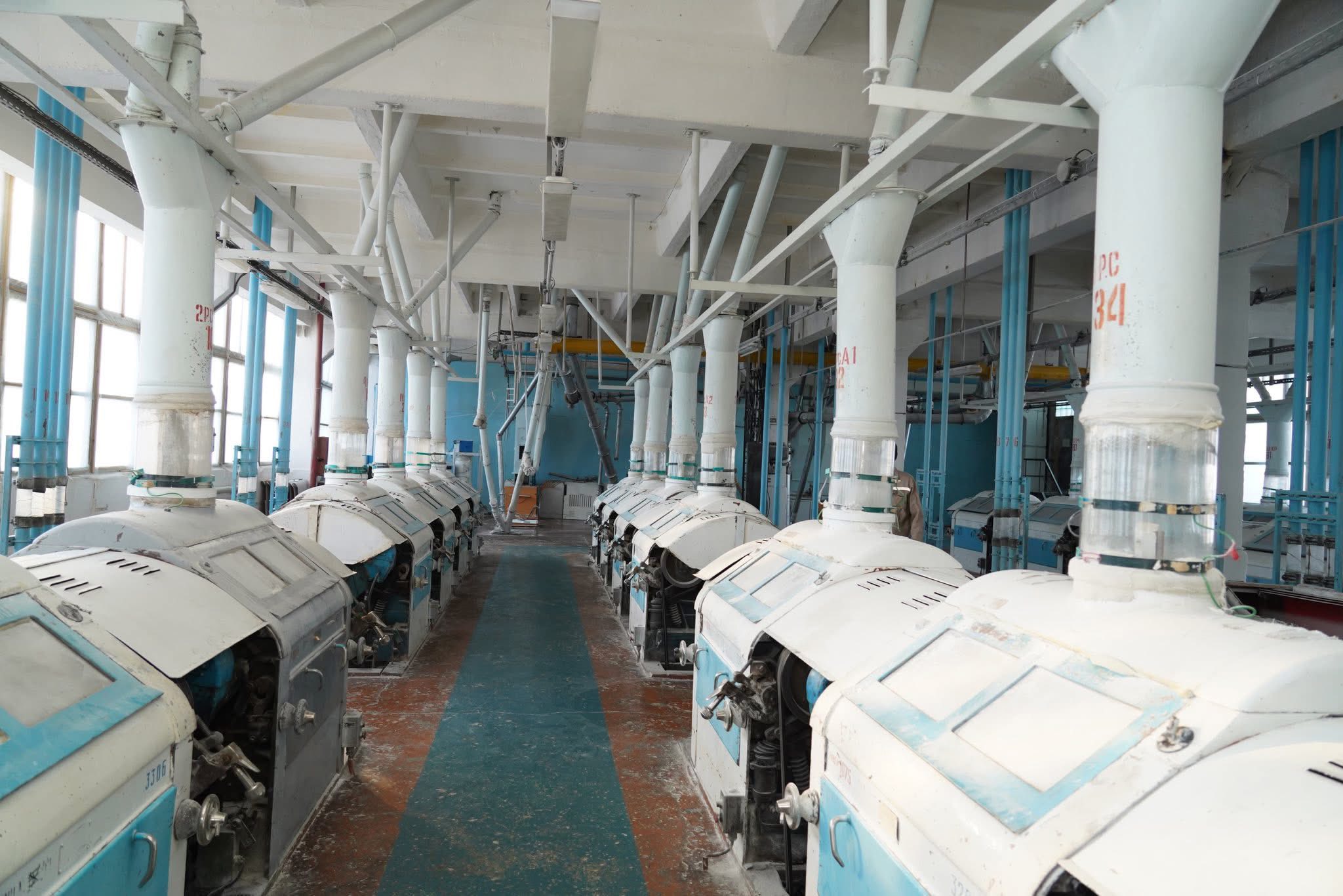 Түркістан облысында бидай өңдейтін зауыт іске қосылды