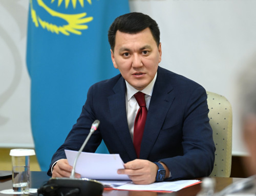 Мемлекеттік кеңесші: Конституциялық реформаға қатысты түпкілікті шешім жалпыхалықтық референдумда қабылданады