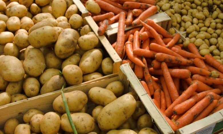 Картоп пен сәбіз: 2026 жылы тапшылық қаупі бар ма?