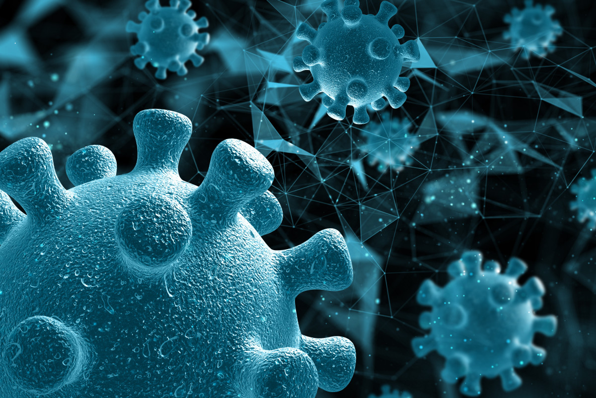 Үндістанда Нипах вирусына қарсы қауіпсіздік шаралары күшейді