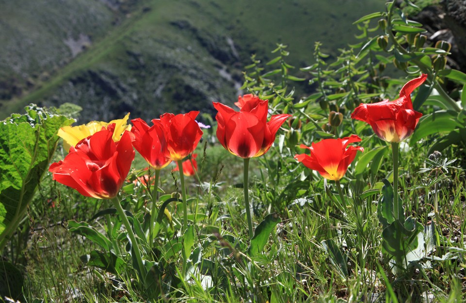 Тылсымға толы Берікқара