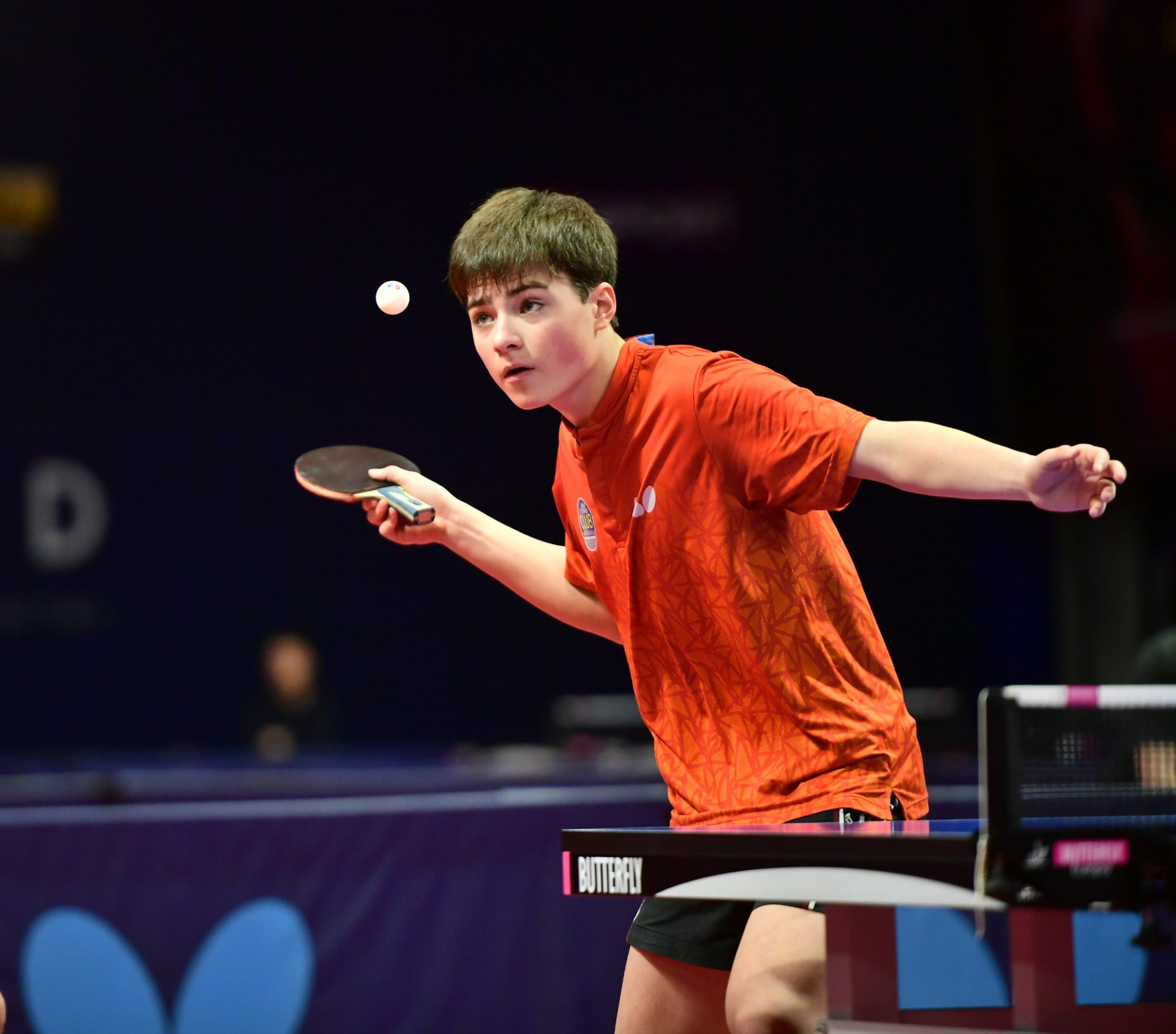 Алан қос қоламен оралды