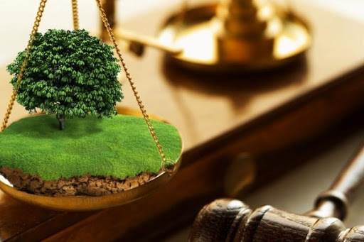 Алматы маңындағы ауыл шаруашылығы жерлерін бөлшектеу қашан тоқтайды?