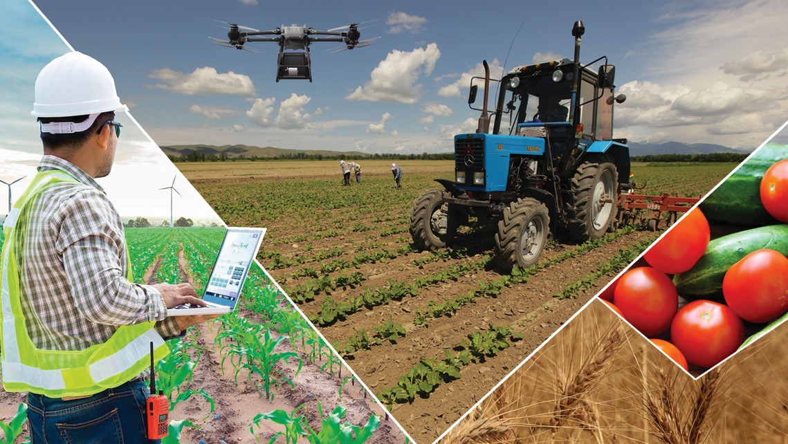 Агроөнеркәсіп кешенін өрістетудің маңызы